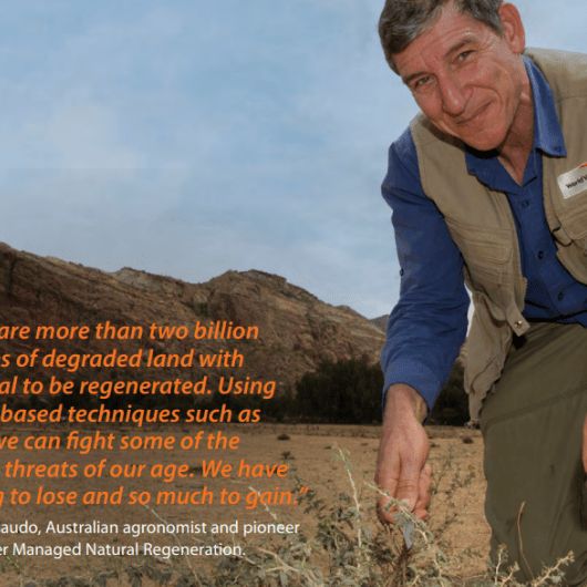 Restore land cover