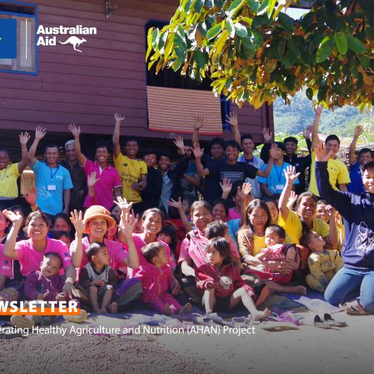 AHAN Newsletter #6