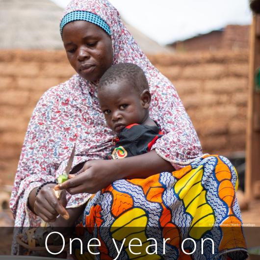 One year on - World Vision's Global Hunger Response's annual report 