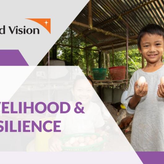 World Vision Myanmar's Sector Factsheet on Livelihood and Resilience