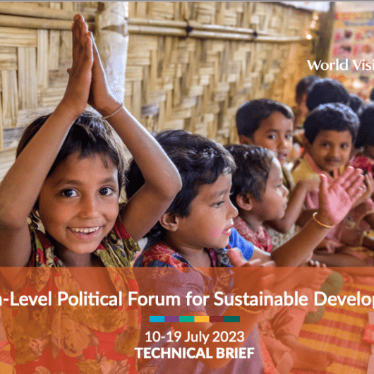 High-Level Political Forum for Sustainable Development Technical Brief 2023 Cover