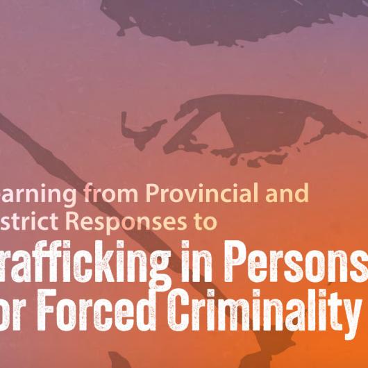 Trafficking in Persons for Forced Criminality