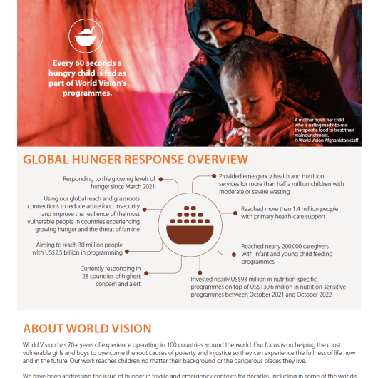 This is the first page of GHR's updated Health and Nutrition Capacity Statement, including information around interventions, experience, and donor and partners.
