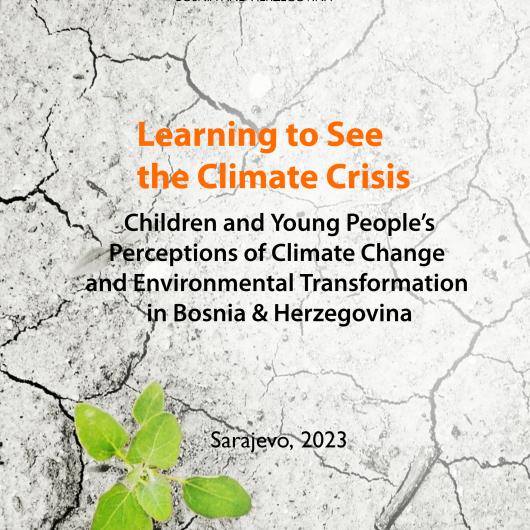 Climate crisis research title