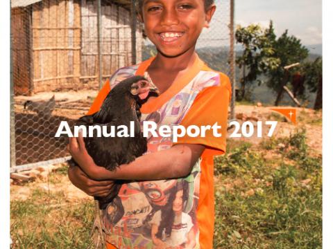 Annual report 2017