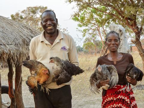 Lucas Munankwenka (56) & his wife Josephine (48) show off the chickens they own.jpg