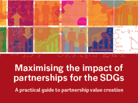 Maximising Impact through Partnerships