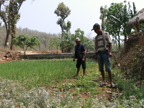 From follow to farming hero photo