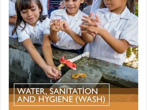 2018 WASH Annual Review