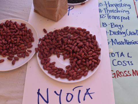 A plate of Iron Rich Beans Distributed in Kenya's Elgeyo Market County by World Vision