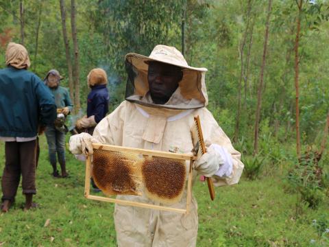 Burundi beekeeping 