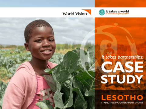 It takes partnerships Case Study – Lesotho: Strengthening Government Efforts