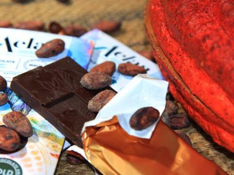 Moli's cocoa