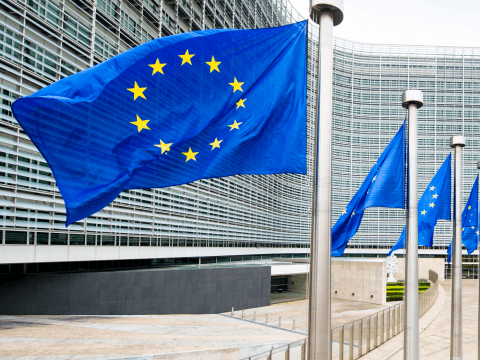 EU flags
