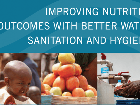 Improving Nutrition Outcomes with Better Water, Sanitation and Hygiene