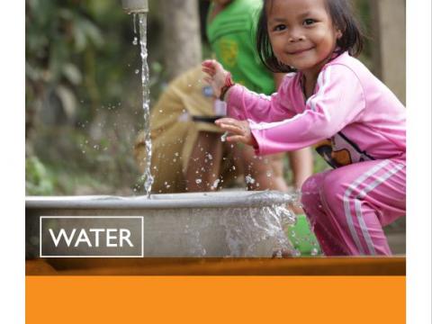 2017 WASH Annual Review