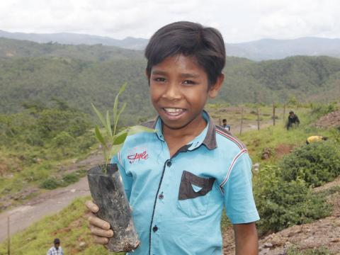 Livelihoods & resilience