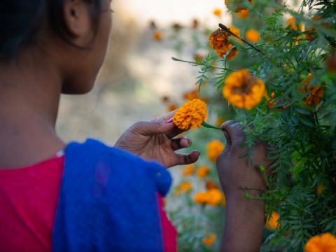 Back of a girl who is examining flowers