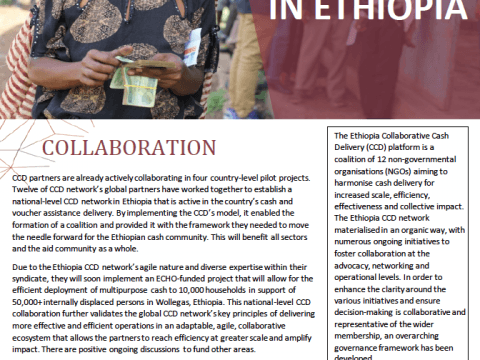 CCD Network in Ethiopia Cover Image