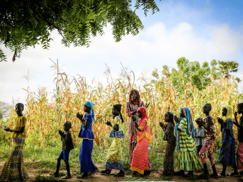 Senegal Child Participation and Protection sector image