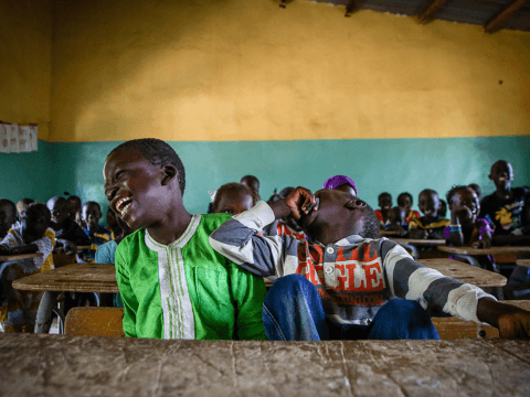 Senegal Education and Lifeskills cover image
