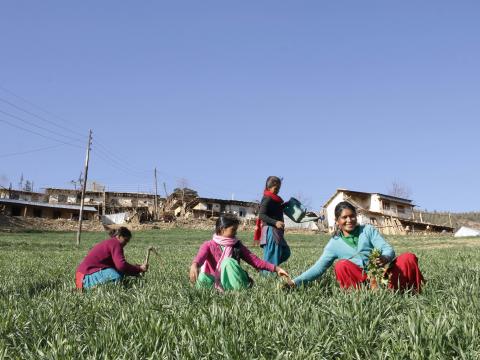 Local producers in Jumla