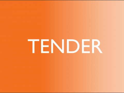 tender, world vision