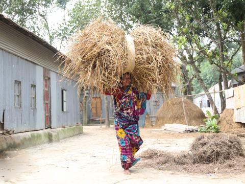 To improve nutrition of 20,000 smallholder male and female farmers