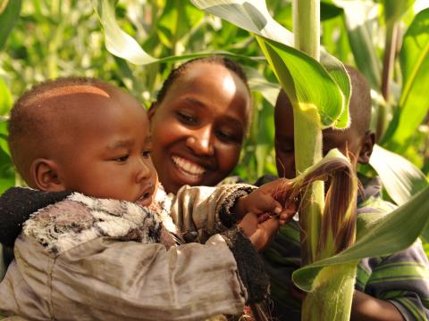 Food Security