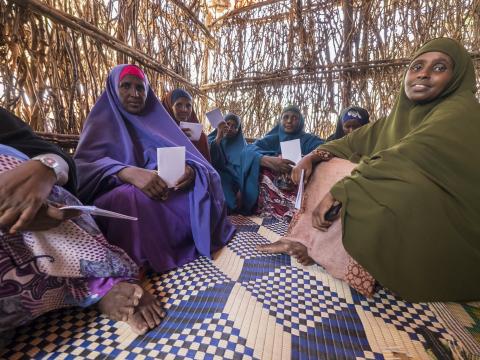 Resilience, SomReP, livelihood, drought, relief