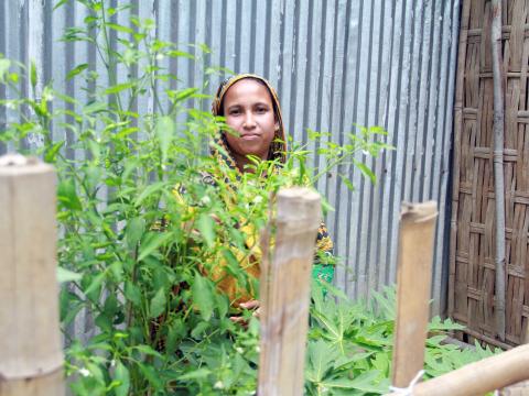 Mousumi is showing various types of green vegetables such as pumpkin, bitter gourd, green chili etc. cultivated at her home-yards. She does not leave abandoned any space of home-yards she properly utilizes every space of land.