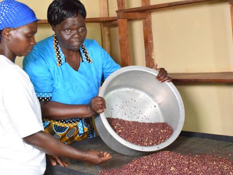 Groundnuts have boosted household income at Matete in Kakamega County. ©World Vision/Photo by Hellen Owuor.