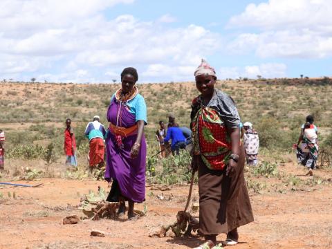 Selina Kisio (left) clearing the destructive Opuntia cactus that is degrading rangelands and killing livestock in Laikipia County. ©World Vision/Photo by Wesley Koskei. 