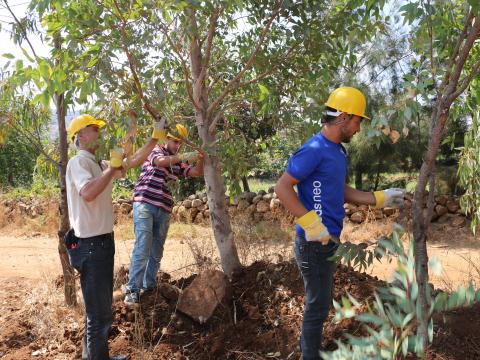 The FMNR aims to create informal employment opportunities to 197 vulnerable Syrian refugees and 177 Lebanese in return of their work for restoring and improving select range-lands.