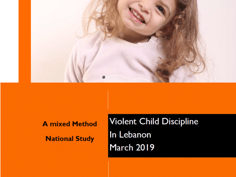 Violent Child Discipline - WVL Full Report Cover