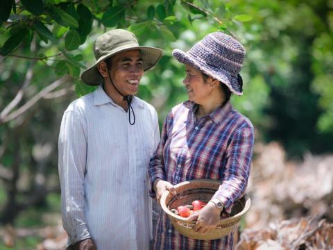 Khmer husband and wife smiling at each other in their orchid with plentiful crops, Cambodia.