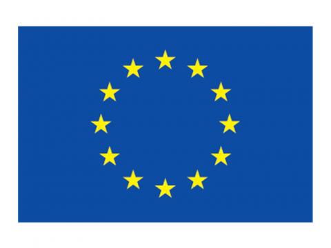 European Union Logo