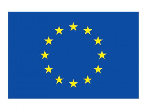 European Union Logo