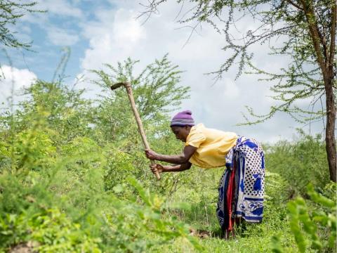 Woman working in the field