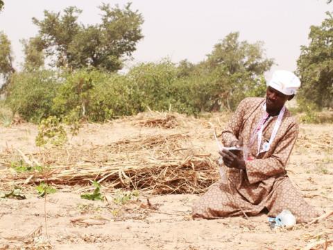 Fighting desertification
