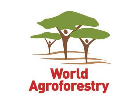 World Agroforestry