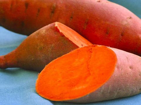 Reducing micronutrient deficiency through growing orange flesh sweet potatoes in Buikwe Uganda. World Vision Uganda Resilience and Livelihoods Farming as business. Health and Nutrition