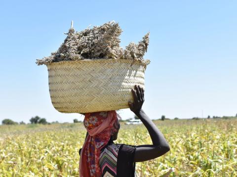 42-year-old Fatima seen here at her group's seed multiplication farm in Mershing locality, South Darfur.