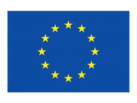 European Union Logo