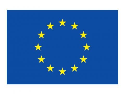 European Union Logo