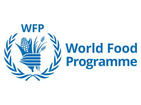 WFP Logo