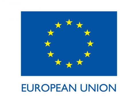 European Union Logo