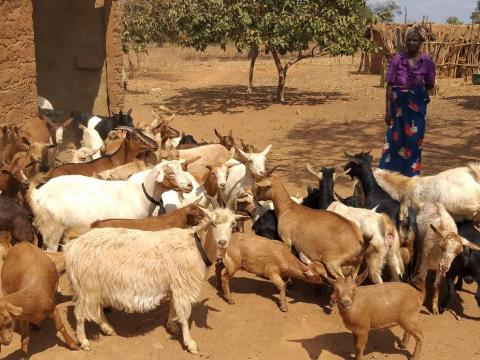 a beneficiary of Goat Pass