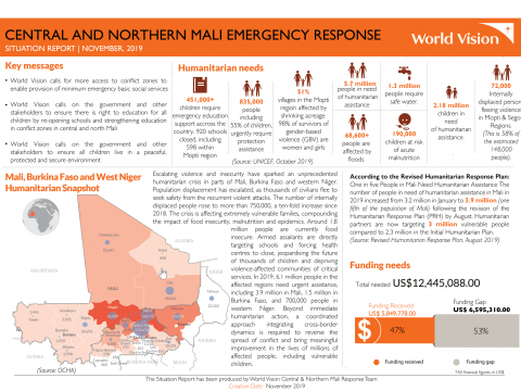 Central Mali Emergency situation report cover image