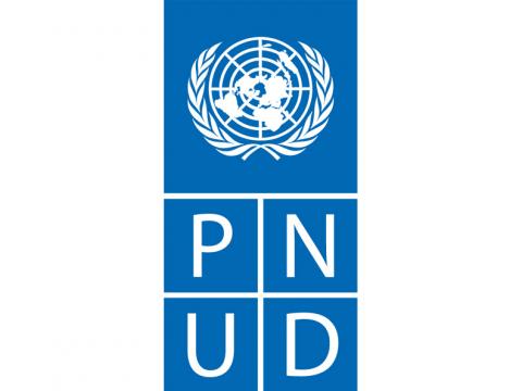 UNDP Logo